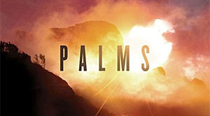 palms-thumb