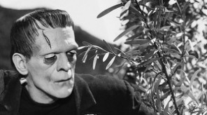 Karloff Boris Frankenstein